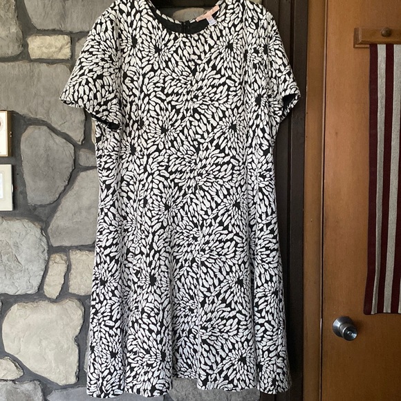 Pre-Owned Hutch Women's Size 3x Casual Dress - Picture 3 of 11